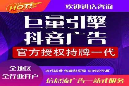 深入了解SEM代运营服务公司的技术实力